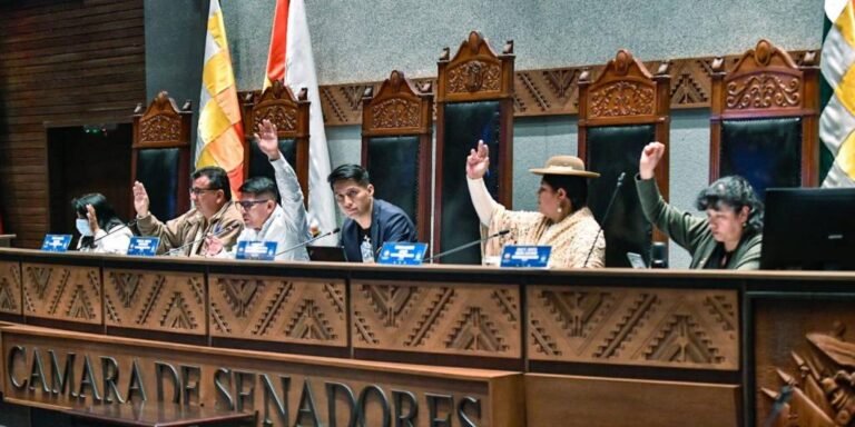 parte-de-la-directiva-del-senado-que_101-7886275_20231230210817