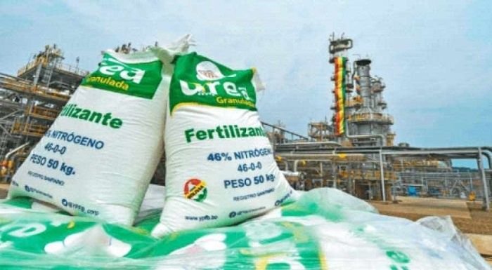 urea-bolivia-prensa-latina.jpg_1178590044