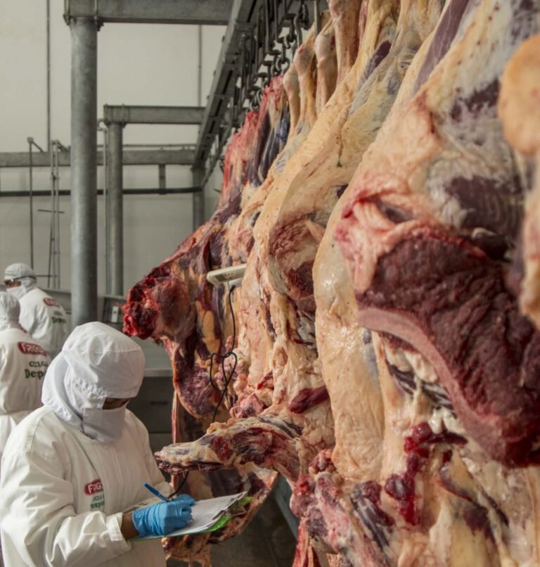 Carne_1