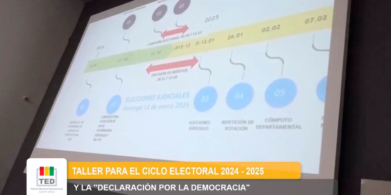 TSEElecJudici20724