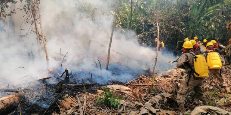 IncendiosArchivo0809