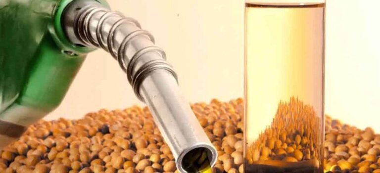 biodiesel_2095355906_1140x520