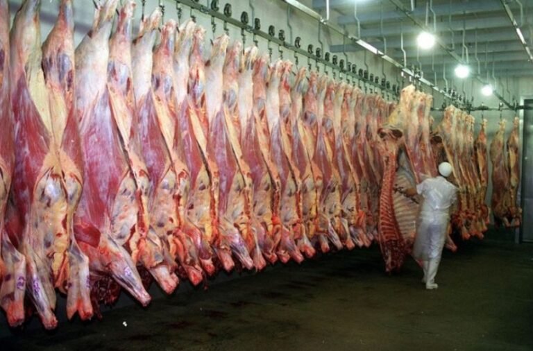 carne1