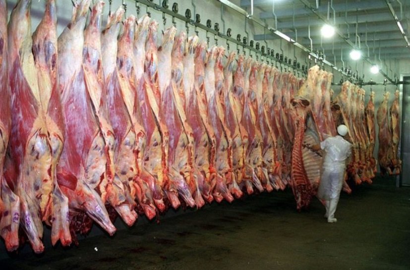 carne1