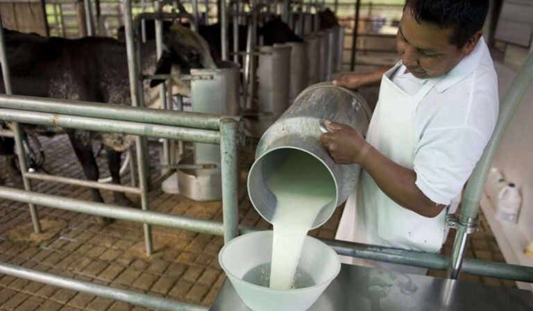 fedeple-se-declara-en-emergencia-y-exige-ajuste-en-el-precio-de-la-leche-2024-07-24
