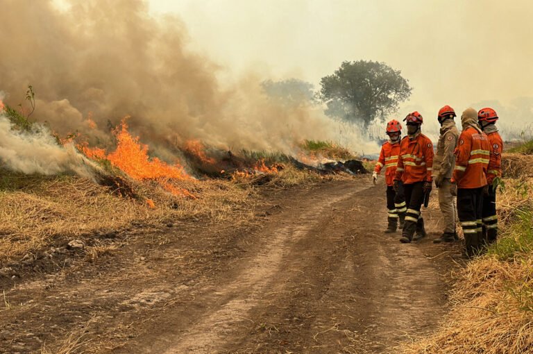 INCENDIOS-AFP
