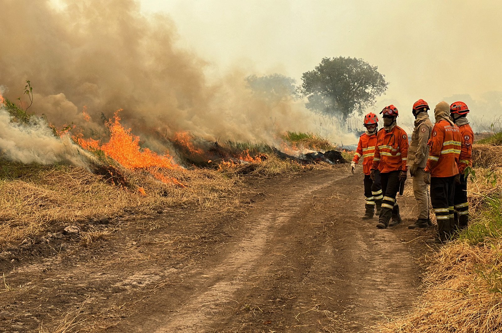 INCENDIOS-AFP