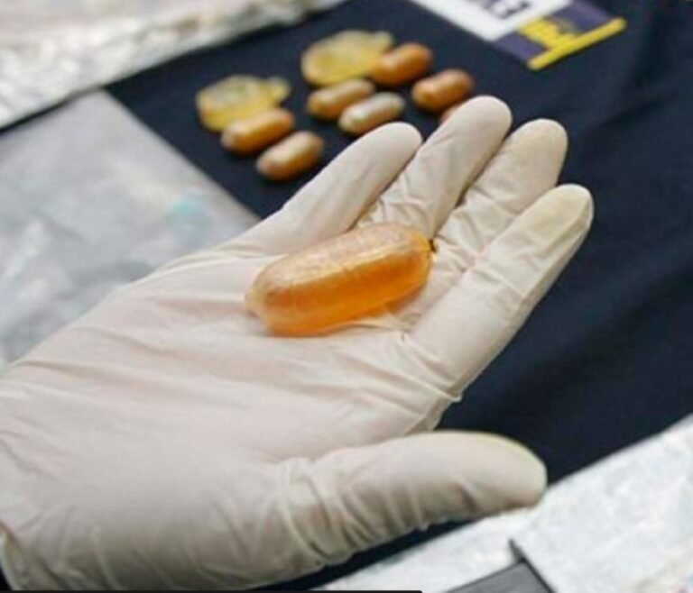 CAPSULAS1