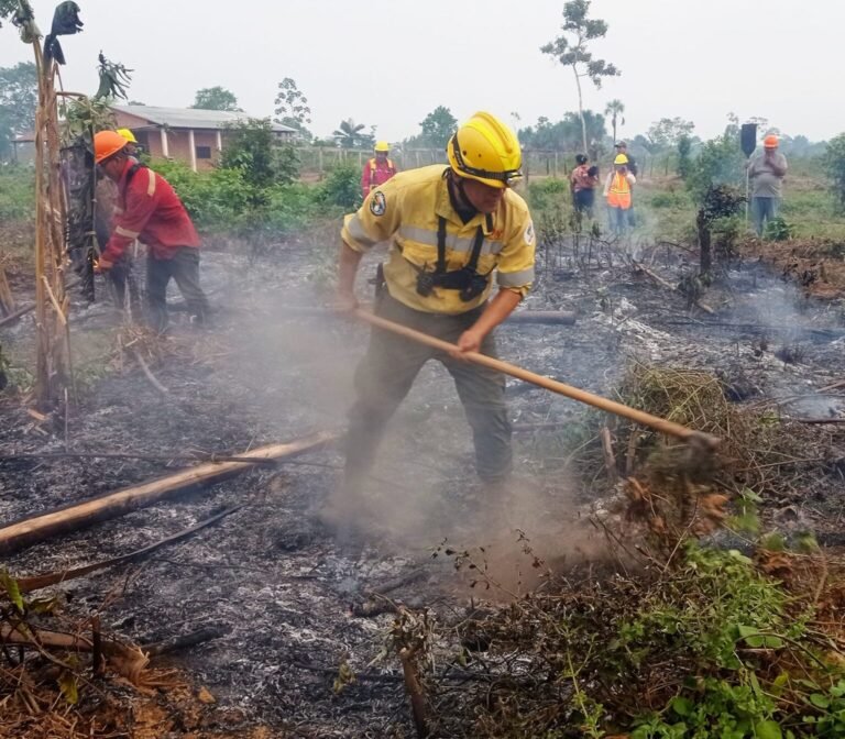 MADIDI-1536x1344-1