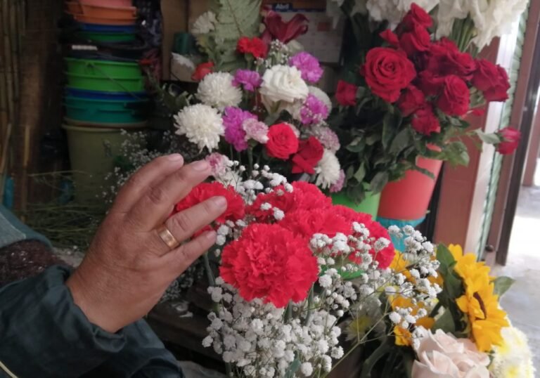 flores-tarija