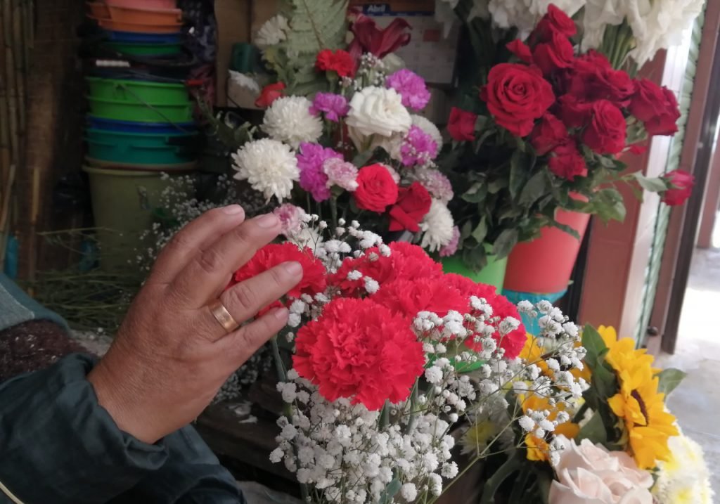 flores-tarija
