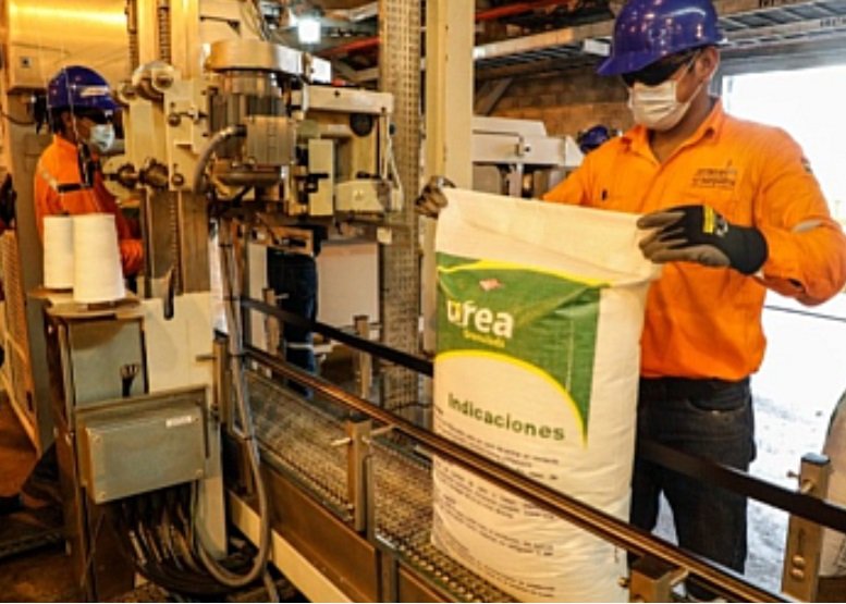 urea