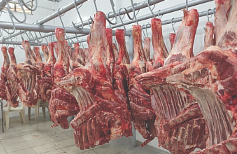 foto carne