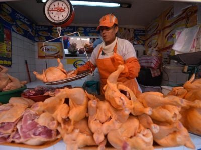 Venta-pollo-arch-400x300