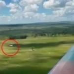 captura-de-pantalla-2026-02-06-17523_101-14418058_20260206224402