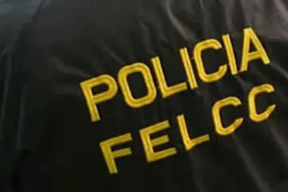 felcc-1_101-14445501_20260210095612