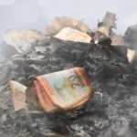 20260228291015-labores-de-rastrillaj_101-14629005_20260301121559