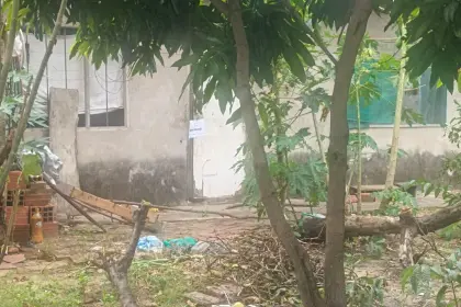 whatsapp-image-2026-05-19-at-15-11_101-15474938_20260519210446